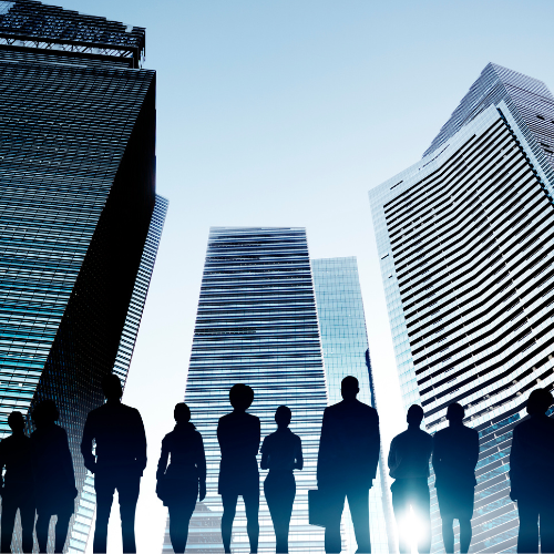 Corporate & Professional Services