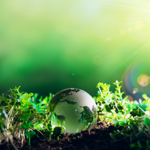 Agriculture & Environment