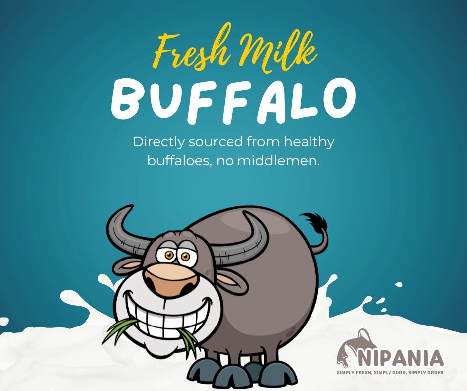 Fresh Buffalo Milk