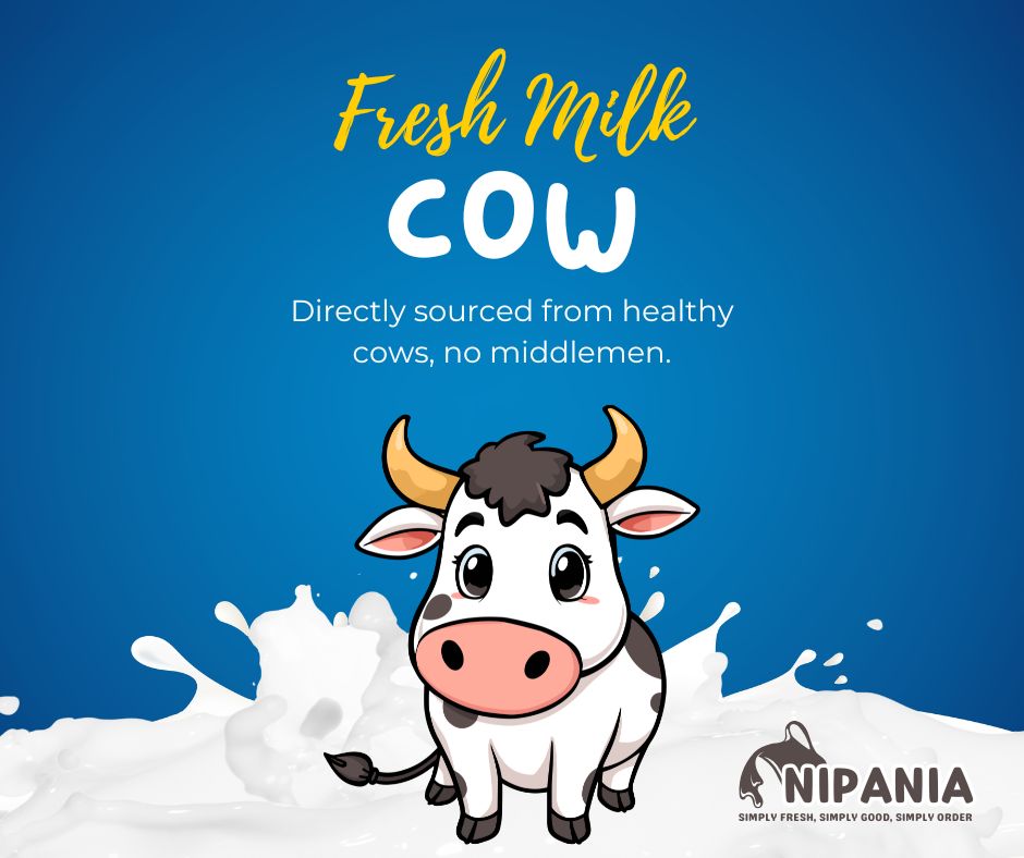 Fresh Cow Milk